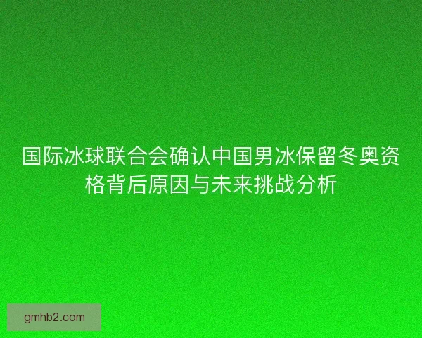 国际冰球联合会确认中国男冰保留冬奥资格背后原因与未来挑战分析